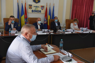 Organigrama Consiliului Judeţean Bihor, redusă la jumătate - Structuri parazitare, rase