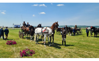 Pășunea Berkeș din Oșorhei - Weekend pentru pasionații de atelaje și iubitorii de cai