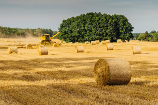 Circa 3% din companiile agricole din România  - Sunt deţinute de străini