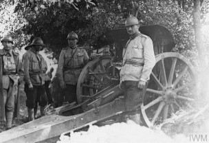 ​100 de ani. Marşul spre Marea Unire 1916-1919 - Reorganizarea Armatei Române (ianuarie-iunie 1917)