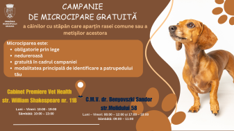 În Oradea - Continuă campania de microcipare a câinilor