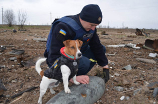 Preşedintele Ucrainei a premiat un câine pirotehnist - Patron anti-bombă
