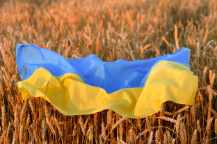 Comisia Europeană, după ce Polonia și Ungaria au interzis cerealele ucrainene - Măsura „nu este acceptabilă”