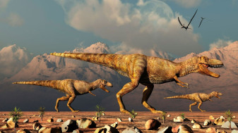 T. Rex ar fi avut două rude, un imperator şi o regină - Trei specii de şopârle uriaşe