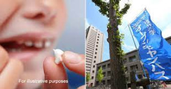 Japonia lucrează la un medicament pentru regenerarea dinților pierduți - Inovație revoluționară