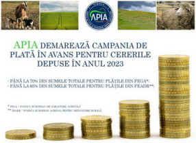 APIA a început din data de 16 octombrie - Campania de autorizare a plăţilor în avans