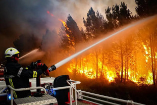 Incendiile de vegetație fac ravagii în Franța și Spania - Un val de căldură afectează Europa