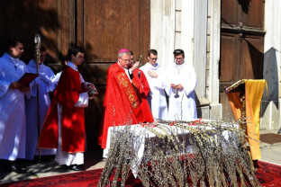 Credincioşii catolici sărbătoresc duminică Floriile - Binecuvântarea ramurilor, la Catedrală