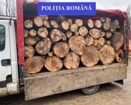 Fără permis, la volanul unei autoutilitare neînmatriculate, transporta lemne furate - De trei ori penal