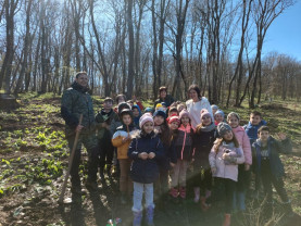 Luna Plantării Arborilor - Mii de voluntari la acţiunile Romsilva