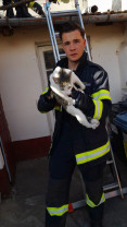 O pisică blocată între două clădiri din Oradea - Salvată de pompieri