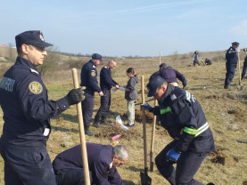 Pompierii, poliţiştii, jandarmii şi viitorii poliţişti de frontieră - Au plantat mii de puieţi
