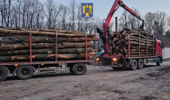 Acţiuni în Valea lui Mihai, Marghita şi Beiuş - Sute de metri cubi de lemne confiscate