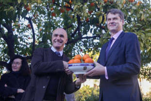 Cultivate în Sevilia, Andaluzia, ajung pe mesele Palatului Buckingham - Povestea portocalelor amare