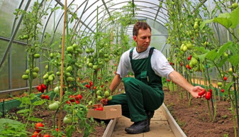 “De la fermă la consumator” - Fonduri pentru promovarea produselor agroalimentare