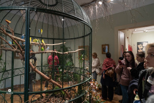 În această lună, Casa Darvas-La Roche găzduieşte - Expoziţia „Sunetul naturii”