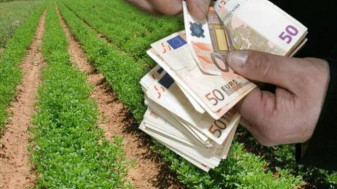 APIA. Termen 1 martie 2022 - Plata subvențiilor agricole pe anul trecut de cerere