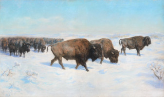 Tablou inedit de Rosa Bonheur, scos la licitaţie la Paris - Migraţia bizonilor americani