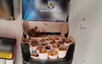 Poliţiştii au efectuat mai multe controale în zona Marghita - Tutun şi ţigarete artizanale confiscate