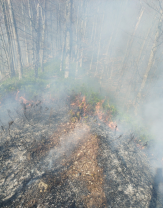 Amenzi de până la 100.000 de lei  - Incendii în șase localități
