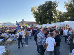 La Binș, am regăsit „Gusturi și tradiții DE BIHOR”