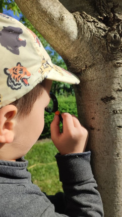Pe 19 septembrie, la Săldăbagiu de Munte - Inima Verde Eco-Fest de Artă și Joacă în pădure