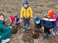 Luna plantării arborilor - Manifestări și acțiuni