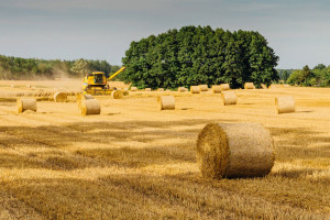AFIR. Din 6 octombrie fermierii pot depune proiecte pentru finanțare - Fonduri generoase în agricultură