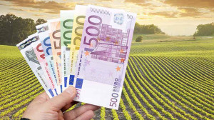 Mai sunt doar cinci zile lucrătoare pentru vizarea carnetelor de rentier agricol - APIA continuă plățile