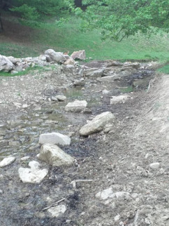 În sectorul acumulării Ciutelec - Râul Bistra a secat