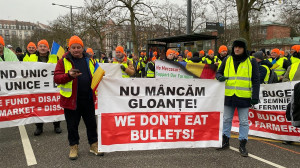 Acordul UE-Mercosur. Fermierii români cer la Strasbourg: Capitolul agricol, renegociat