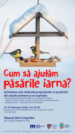 Cum să ajutăm păsările iarna?  Activitate pentru copii