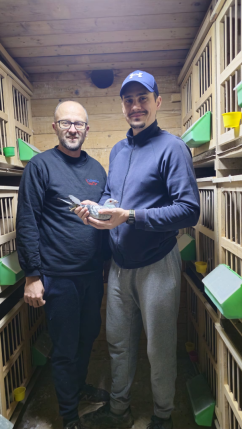 La Olimpiada Columbofilă de la Dortmund - Bihorul va fi reprezentat de Mr. Olympia