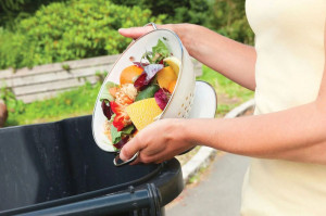 Proiectul privind diminuarea risipei alimentare a fost adoptat - Mai puţine alimente la gunoi
